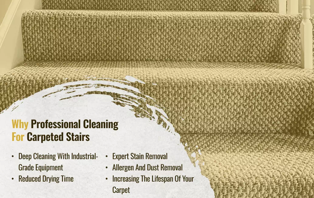 Why Professional Cleaning is Important for Carpeted Stairs 1 Why Cleaning Is Important For Carpeted Stairs