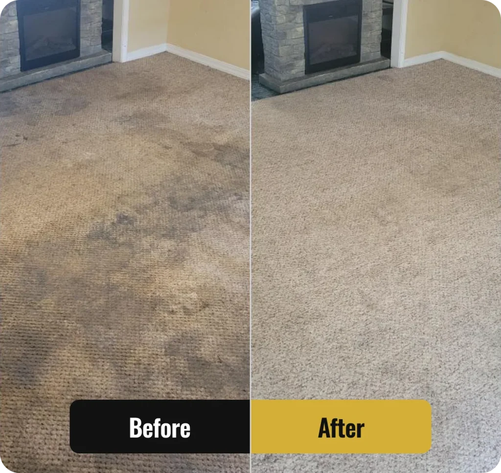 A Cleaning Comparison Of A Carpet
