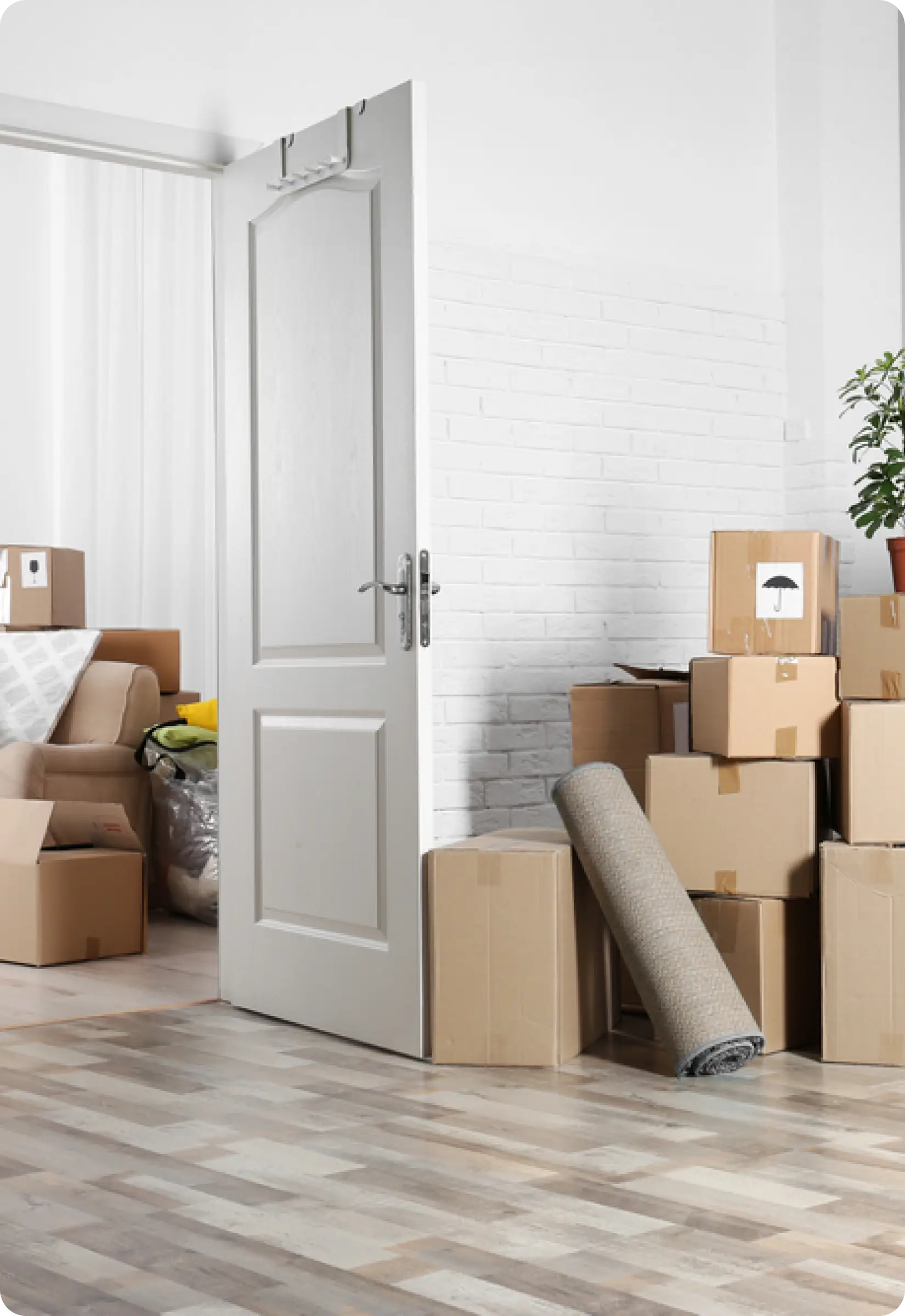 Image 2026 02 18T154853.308