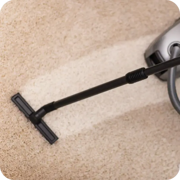 Image 2026 02 19T120449.896