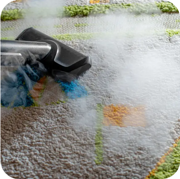 Carpet Cleaning Service Ajax 2 Group 1000001793 19