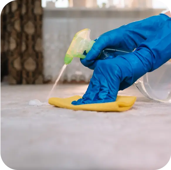 Carpet Cleaning Service Ajax 3 Group 1000001793 20