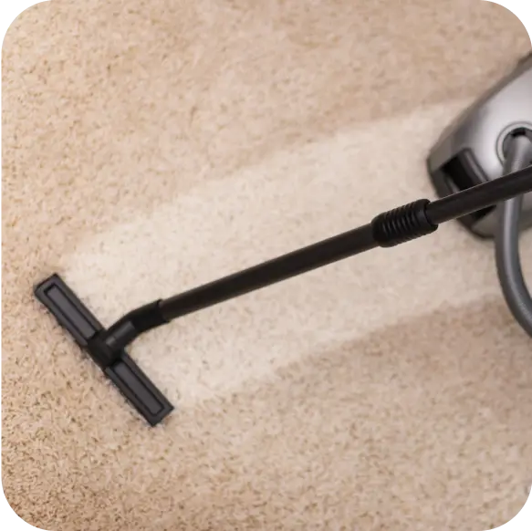 Carpet Cleaning Service Ajax 5 Group 1000001793 22