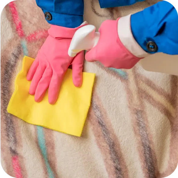 Carpet Cleaning Service Ajax 7 Group 1000001793 24