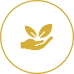 Home 26 Icon 2026 02 17T120045.888