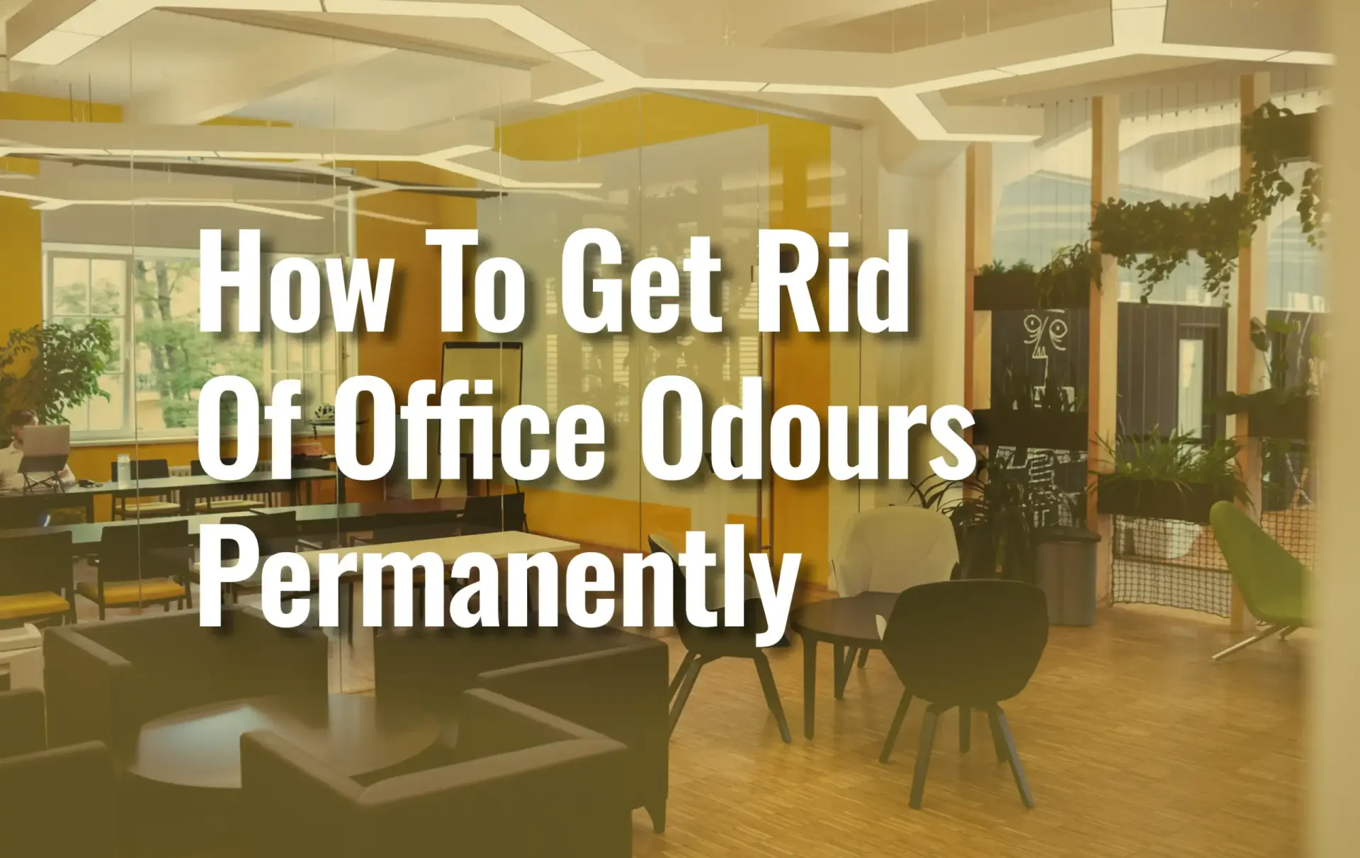 Office Background With Text On It &Quot;How To Get Rid Of Office Odours Permanently&Quot;