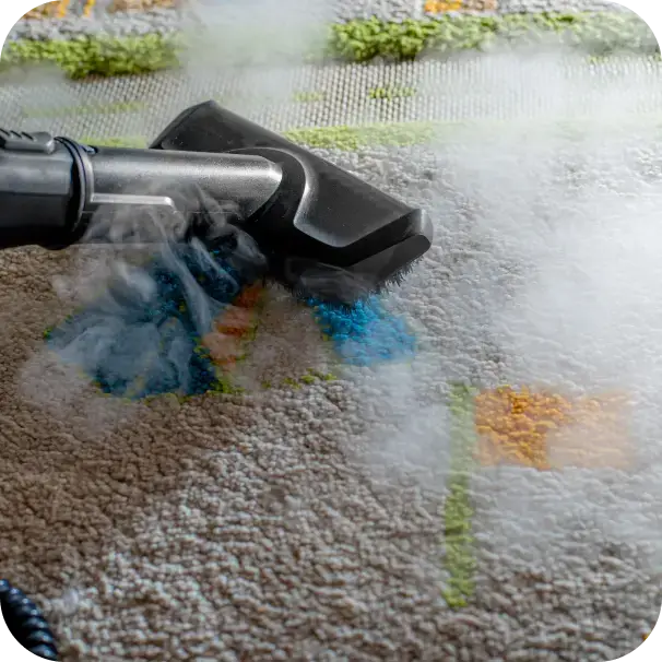 Carpet Cleaning Services in Burlington 3 Freepik Retouch 74663 1