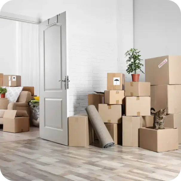 Real Estate Cleaning Services in Brampton 7 Image 17