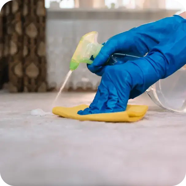Carpet Cleaning Services in Burlington 4 Image 21