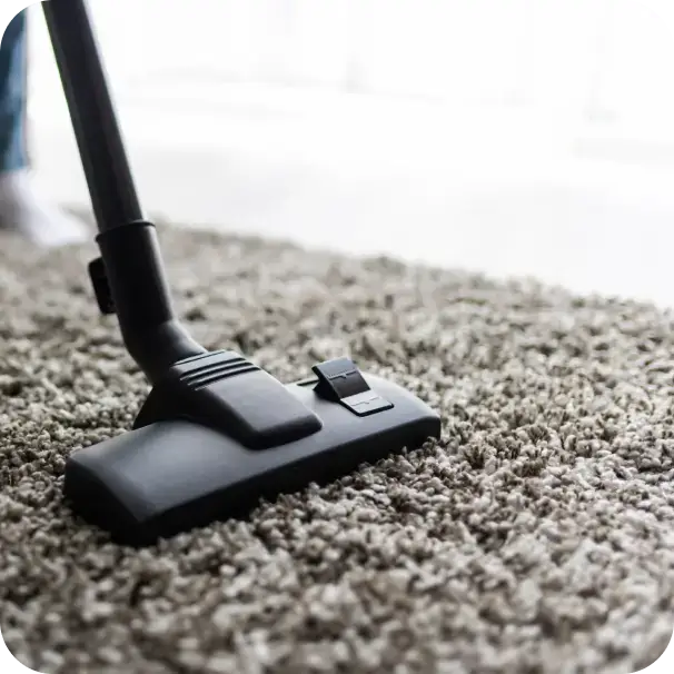 Carpet Cleaning Services in Burlington 7 Image 23