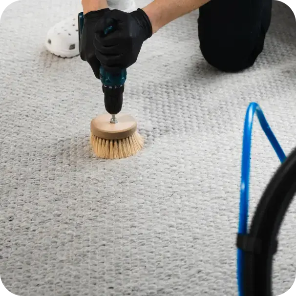 Carpet Cleaning Services in Burlington 8 Image 24