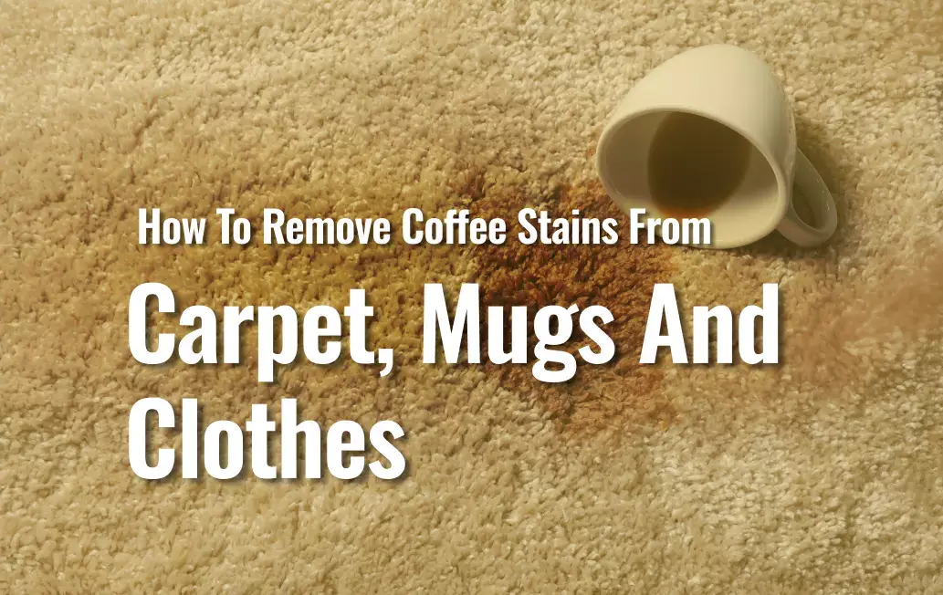 Featured Image Of Blog &Quot;How To Remove Coffee Stains From Carpet, Clothes And Mugs&Quot;