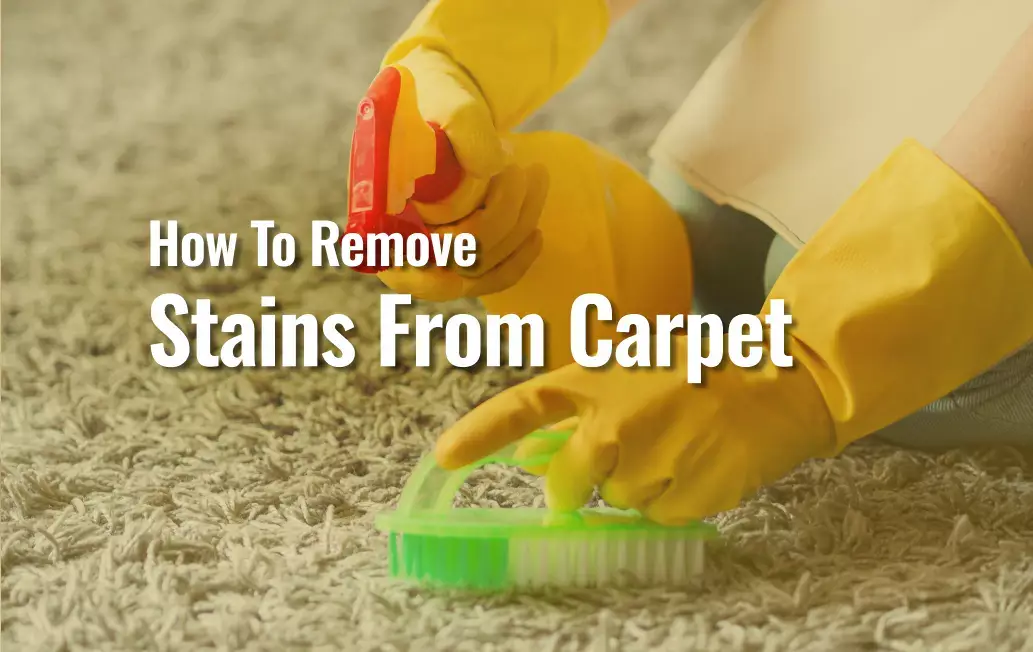 Featured Image Of Blog &Quot;How To Remove Stains From Carpet&Quot;