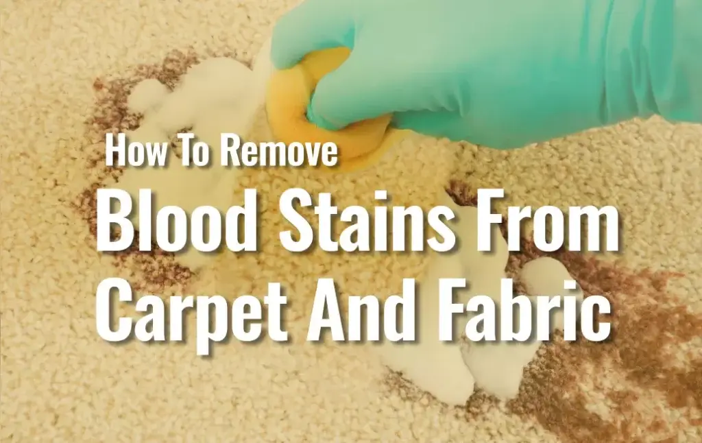 How to Remove Blood Stains From Carpet and Fabric 2 A Piece Of Cloth Rubbing On Carpet Showing On How To Remove Bloof Stains