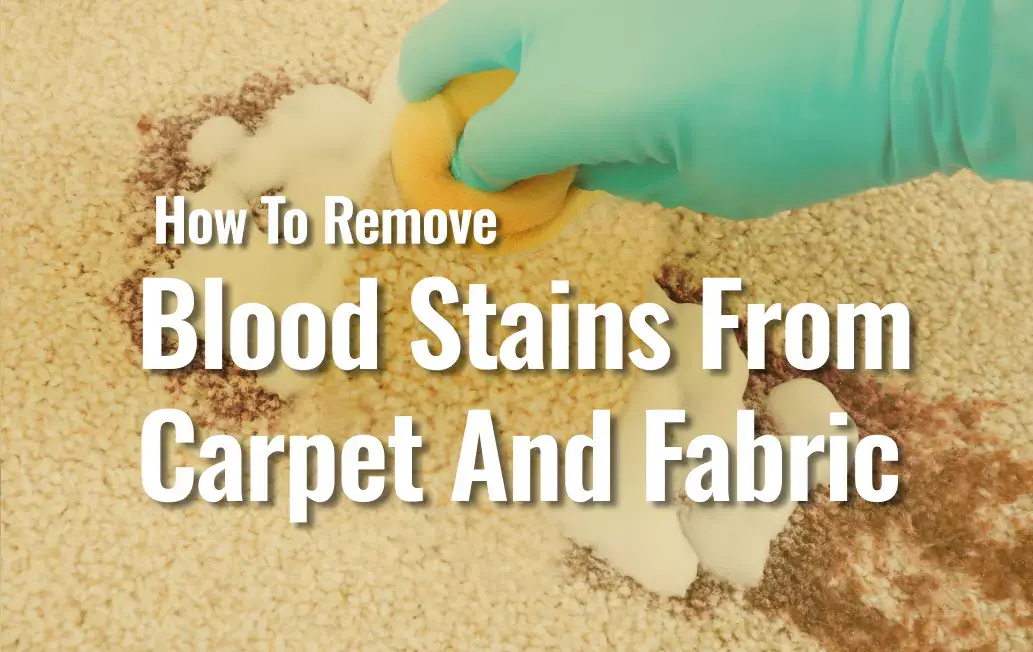 A Piece Of Cloth Rubbing On Carpet Showing On How To Remove Bloof Stains