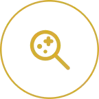 Carpet Cleaning in Mississauga 15 Icon 2026 09 03T142847.809