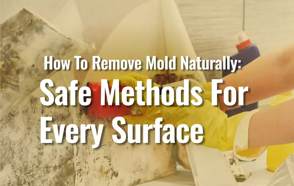 Featured Imge Of Blog &Quot;How To Remove Mold Naturally&Quot;